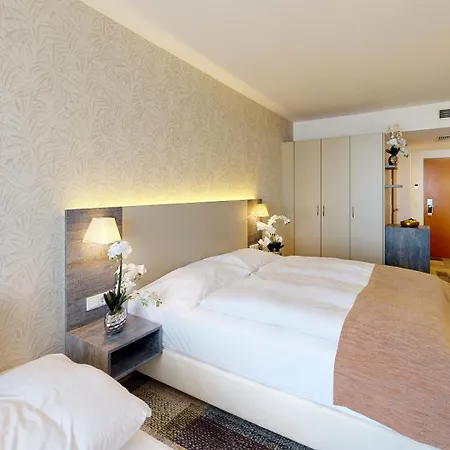 Hotel Plaza Ratisbona